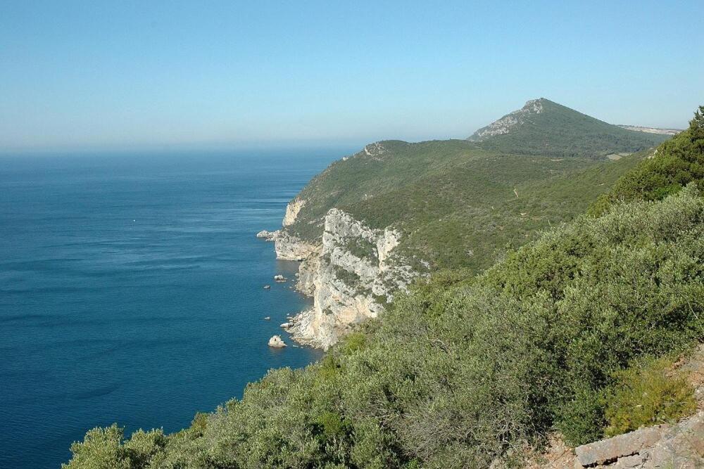 Duplexdubocage Setubal Ngoại thất bức ảnh